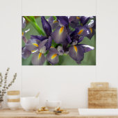 Paarse Iris Flowers Poster Art Print (Keuken)