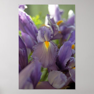 Paarse Iris Flowers Poster Art Print