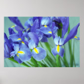 Paarse Iris Flowers Poster Art Print (Voorkant)