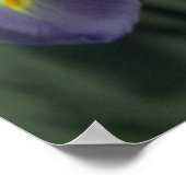 Paarse Iris Flowers Poster Art Print (Hoek)