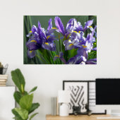 Paarse Iris Flowers Poster Art Print (Thuiskantoor)