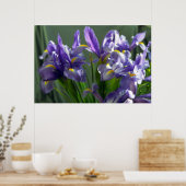 Paarse Iris Flowers Poster Art Print (Keuken)