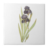 Paarse Iris Flowers Tegeltje (Voorkant)