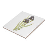 Paarse Iris Flowers Tegeltje (Zijkant)