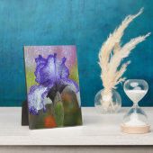  Paarse Iris Fotoplaat (Zijkant)