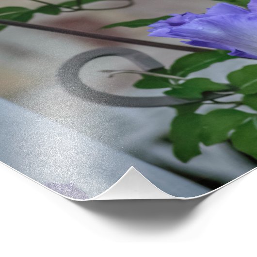 Paarse iris fotoprint foto afdruk (Hoek)