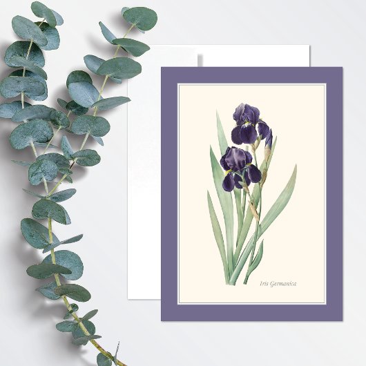 Paarse Iris Germanica Botanical Art Note Kaart