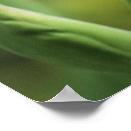 Paarse Iris in de zon Poster (Hoek)