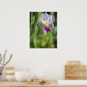 Paarse Iris in de zon Poster (Keuken)