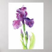 Paarse Iris in Lichte Waterverf Poster (Voorkant)
