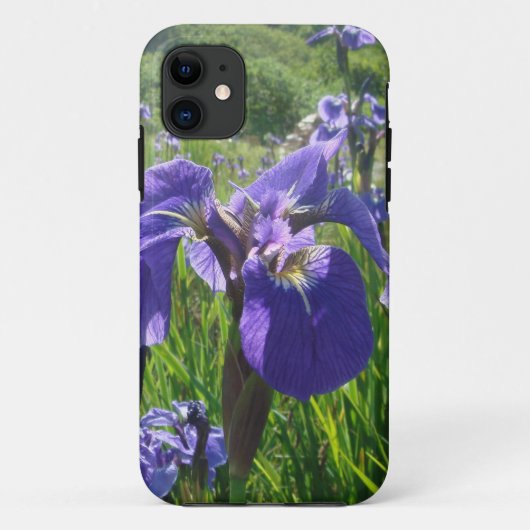 Paarse Iris iPhone5 Hoesje (Achterkant)