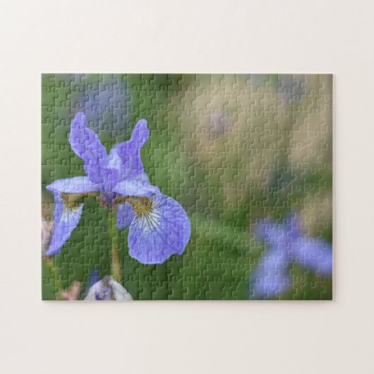 Paarse Iris Iris Bloed Natuur Foto Tuin Legpuzzel (Horizontaal)