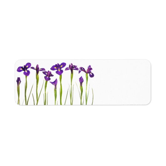 Paarse IRIS - Iris Flower Gepersonaliseerd Sjabloo Etiket (Voorkant)