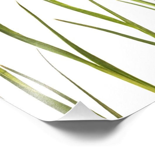 Paarse IRIS - Iris Flower Gepersonaliseerd Sjabloo Foto Afdruk (Hoek)