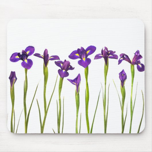 Paarse IRIS - Iris Flower Gepersonaliseerd Sjabloo Muismat (Voorkant)