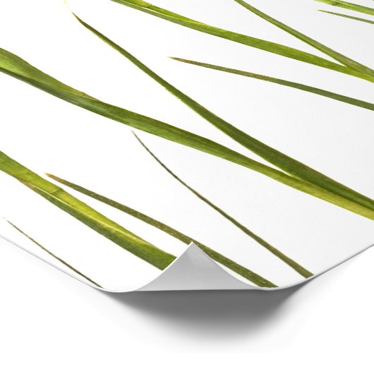 Paarse IRIS - Iris Flower Gepersonaliseerd Sjabloo Poster (Hoek)