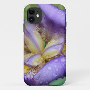 Paarse Iris (Iris Germanica) iPhone 11 Hoesje