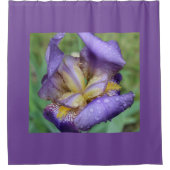 Paarse Iris (Iris Germanica) Douchegordijn (Voorkant)