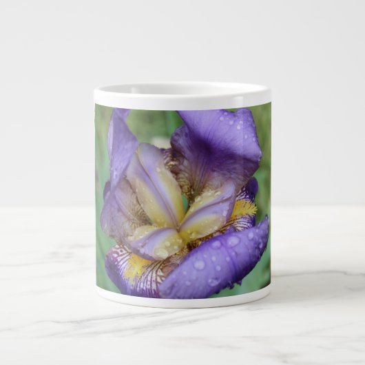Paarse Iris (Iris Germanica) Grote Koffiekop (Voorkant)