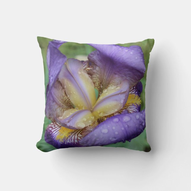 Paarse Iris (Iris Germanica) Kussen (Voorkant)