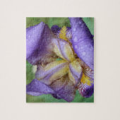 Paarse Iris (Iris Germanica) Legpuzzel (Verticaal)