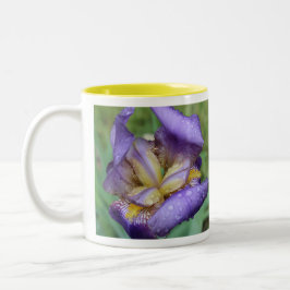 Paarse Iris (Iris Germanica) Tweekleurige Koffiemok