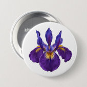 paarse iris, iriscultuur, waterverf bloem ronde button 7,6 cm (Voorkant /achterkant)