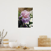 Paarse Iris Irise Cottage Garden art Plant Poster (Keuken)