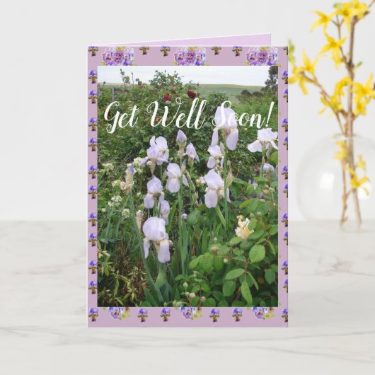 Paarse Iris irises Garden krijgen snel Kaart (Gele Bloem)