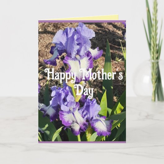 Paarse Iris Irissen Bloem bloemig Moederdag Kaart (Voorkant)