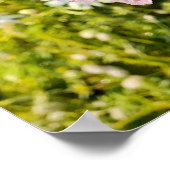 Paarse Iris Irissen Bloementuin Poster (Hoek)