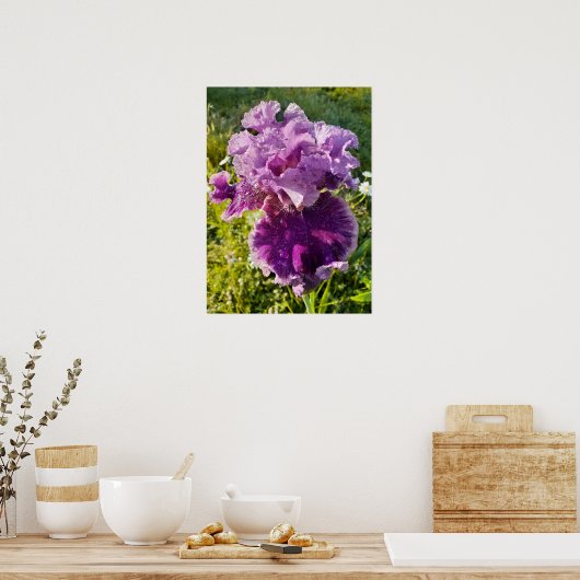 Paarse Iris Irissen Bloementuin Poster (Keuken)