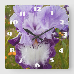 Paarse Iris Irissen Sering Madeliefje Tuin Bloem Vierkante Klok