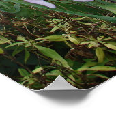 Paarse Iris Ises Cottage Garden Plant Poster (Hoek)