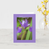 Paarse Iris - Je Mis Kaart (Gele Bloem)