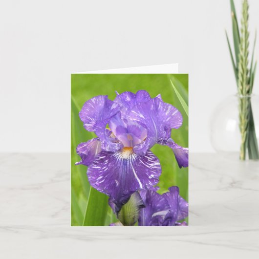 Paarse Iris Kaart (Voorkant)