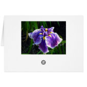 Paarse Iris-kaart (Achterkant Horizontaal)