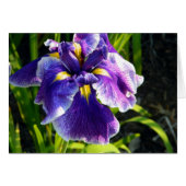 Paarse Iris-kaart (Voorkant Horizontaal)