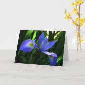 Paarse Iris Kaart (Gele Bloem)