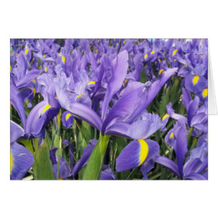 Paarse Iris Kaart (Blanko binnenkant)