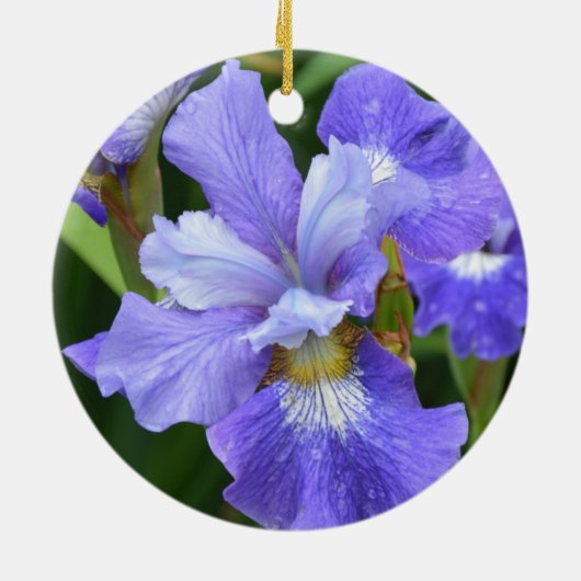 Paarse iris keramisch ornament (Achterkant)