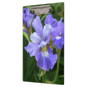 Paarse iris klembord (Links)