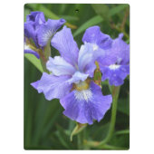 Paarse iris klembord (Achterkant)