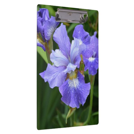 Paarse iris klembord (Rechts)