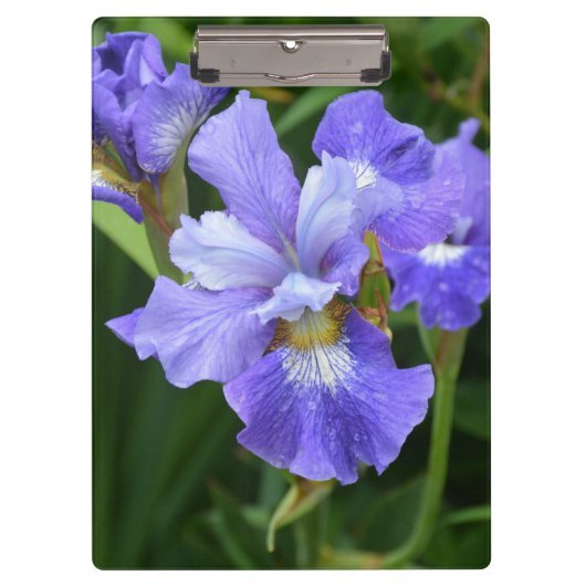 Paarse iris klembord (Voorkant)