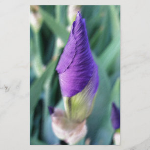 paarse iris knop briefpapier