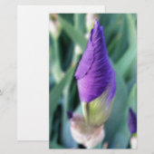 paarse iris knop briefpapier (Voorkant / Achterkant)