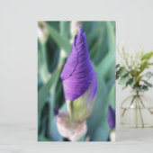 paarse iris knop briefpapier (Staand voorkant)