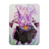 Paarse Iris kunst bloem bloemen waterverf magneet (Verticaal)