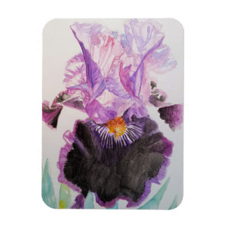Paarse Iris kunst bloem bloemen waterverf magneet
